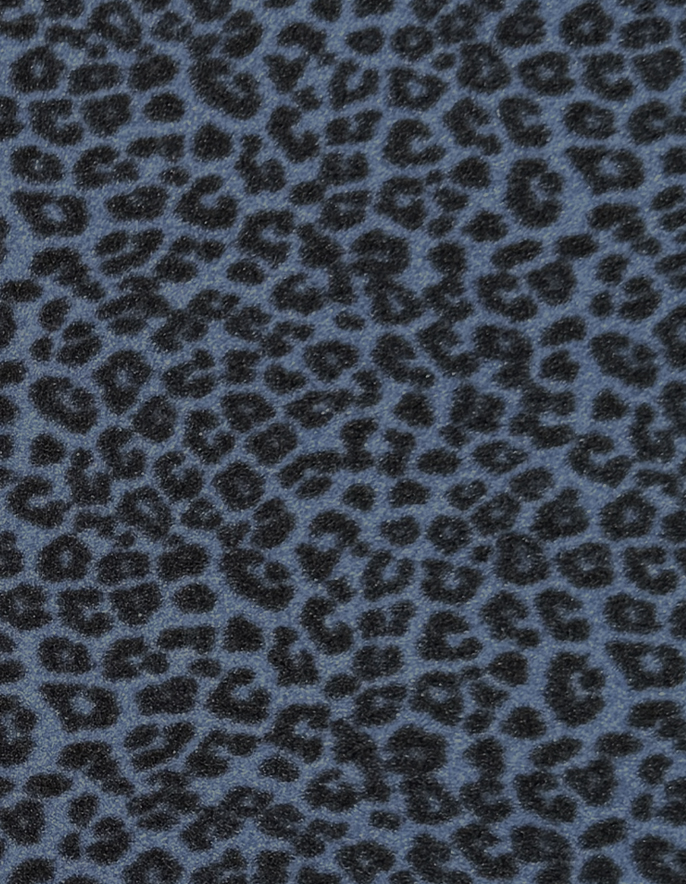 Leopard 2