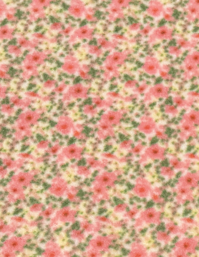 Baby’s Breath