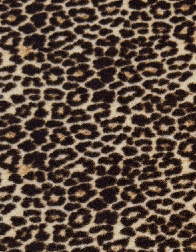 Jaguar 2