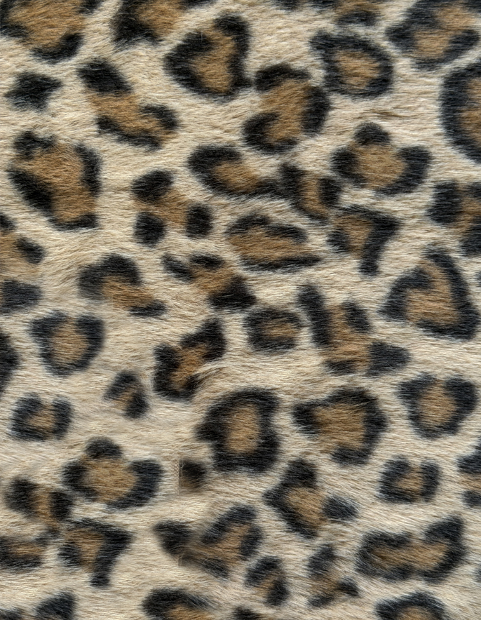 Leopard Fur 2