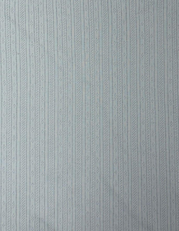 30s Eyelet Jacquard 1