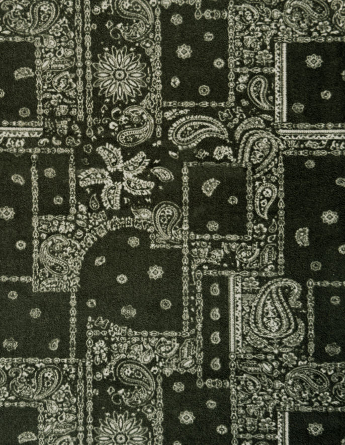 Paisley