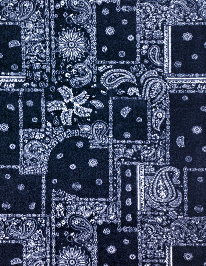 Paisley 2